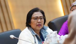 Jejak Langkah Irma Suryani: Dari Sumsel II untuk Indonesia