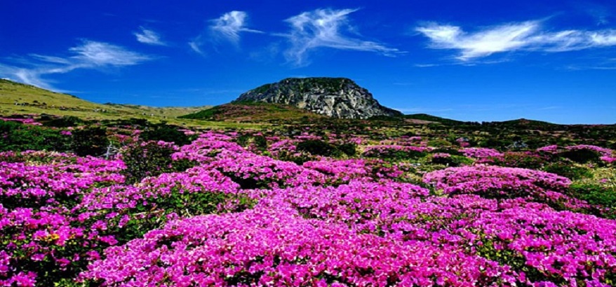 7 Spot-Spot Wisata Terbaik Di Negara Korea Selatan