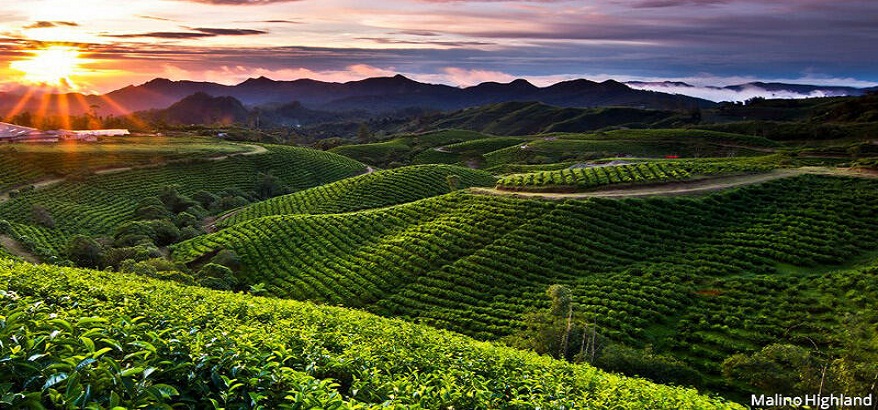 Makassar Punya 5 Objek Wisata Keren Ini Lho!