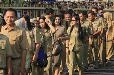 Bongkar Kesalahan! Trik Efisien Analisis Hasil Tryout CPNSdi Tryout.id untuk Peningkatan Skor