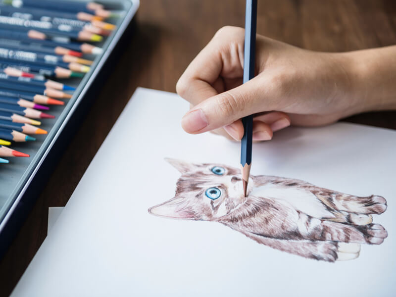 Meningkatkan Visibilitas Melalui Ilustrasi Digital dan Kursus Desain Grafis